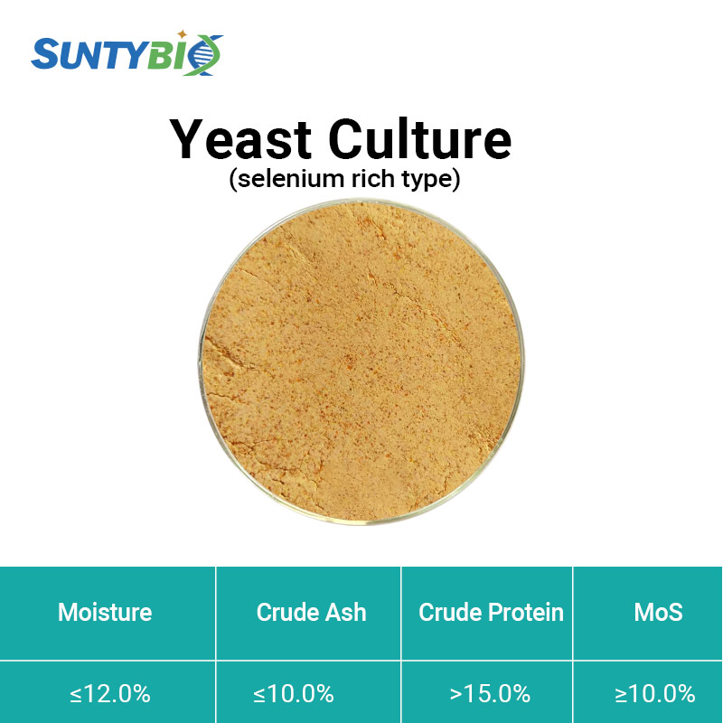 Yeast culture (selenium rich type)