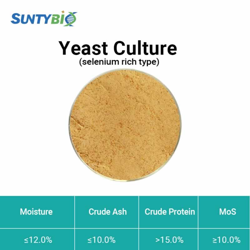 Yeast culture (selenium rich type)