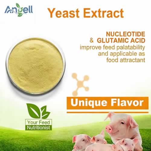 Animal use of Yeast Extract