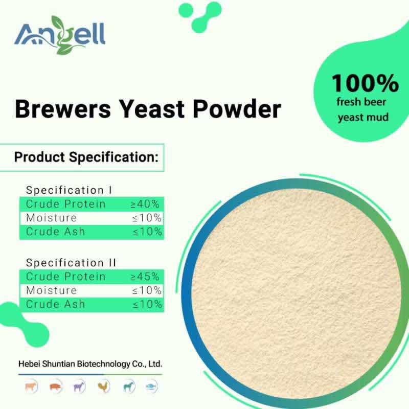 Brewer’s yeast
