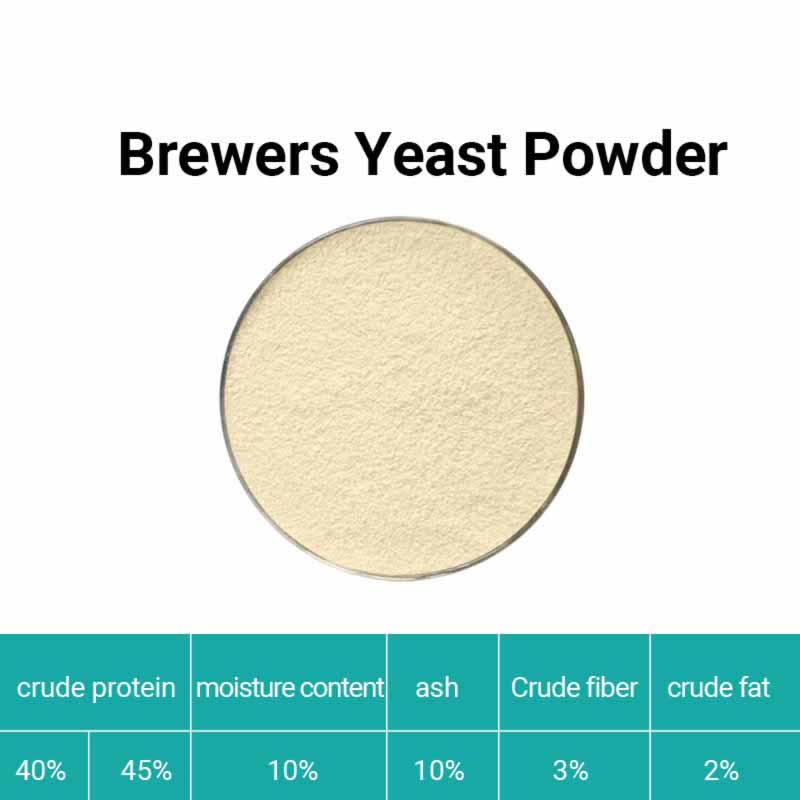  Brewer's Yeast Powder