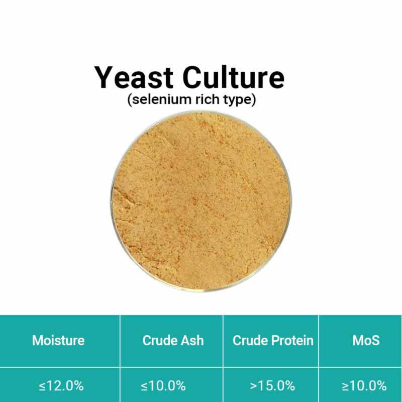  Yeast culture (selenium rich type)