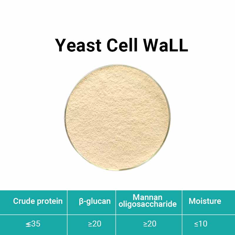 Yeast cell wall