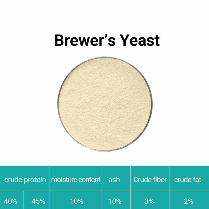 Brewer's yeast