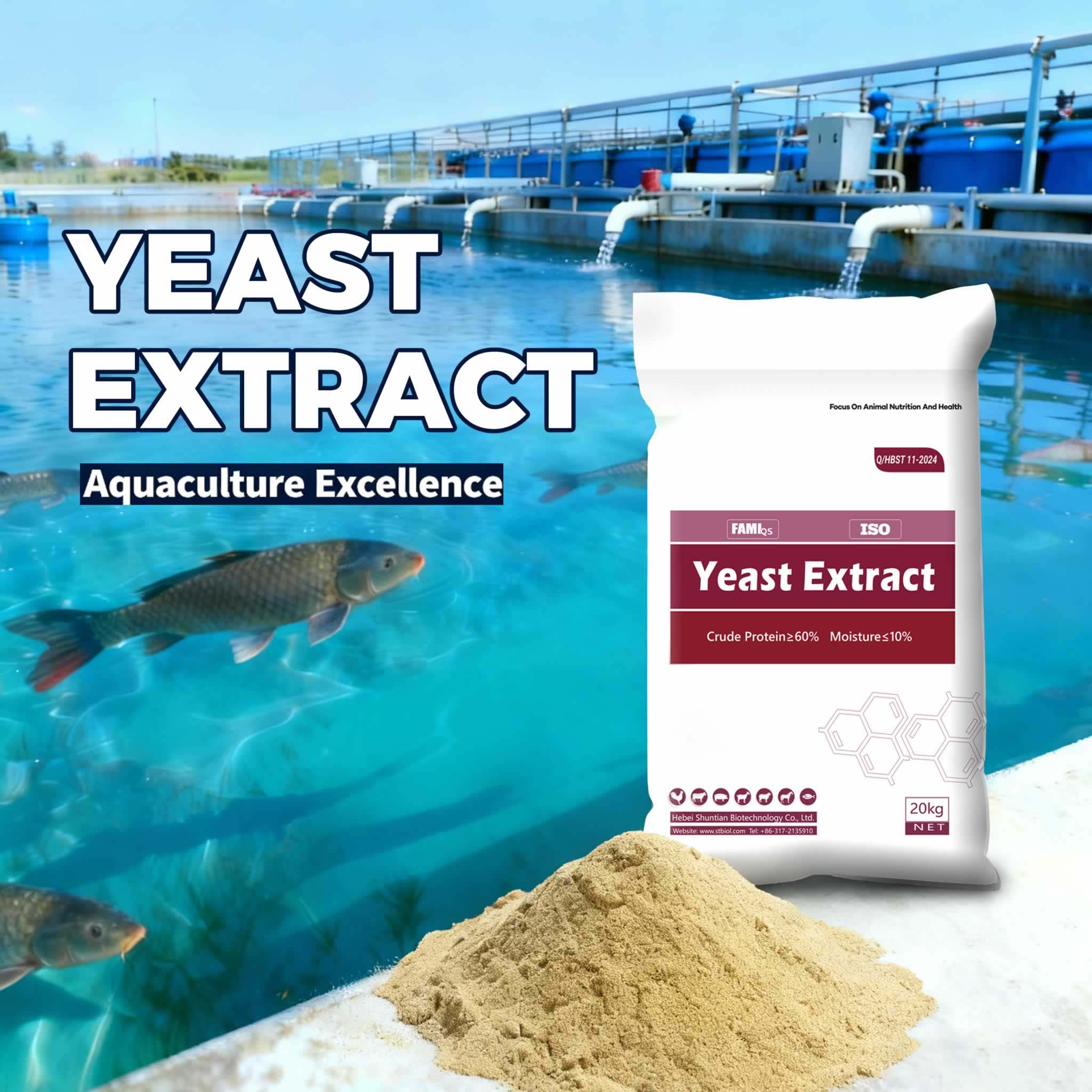 Applications and Benefits of Yeast Extract in Aquaculture