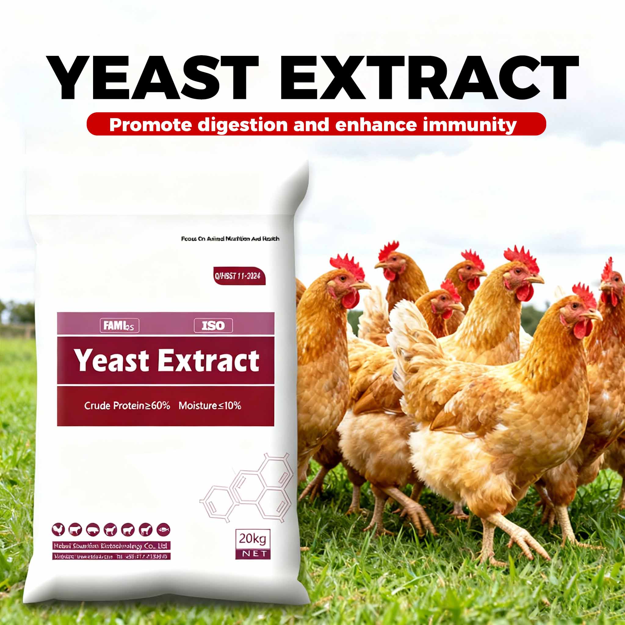 Does Yeast Extract Actually Benefit Chickens? Let’s Analyze It In Depth
